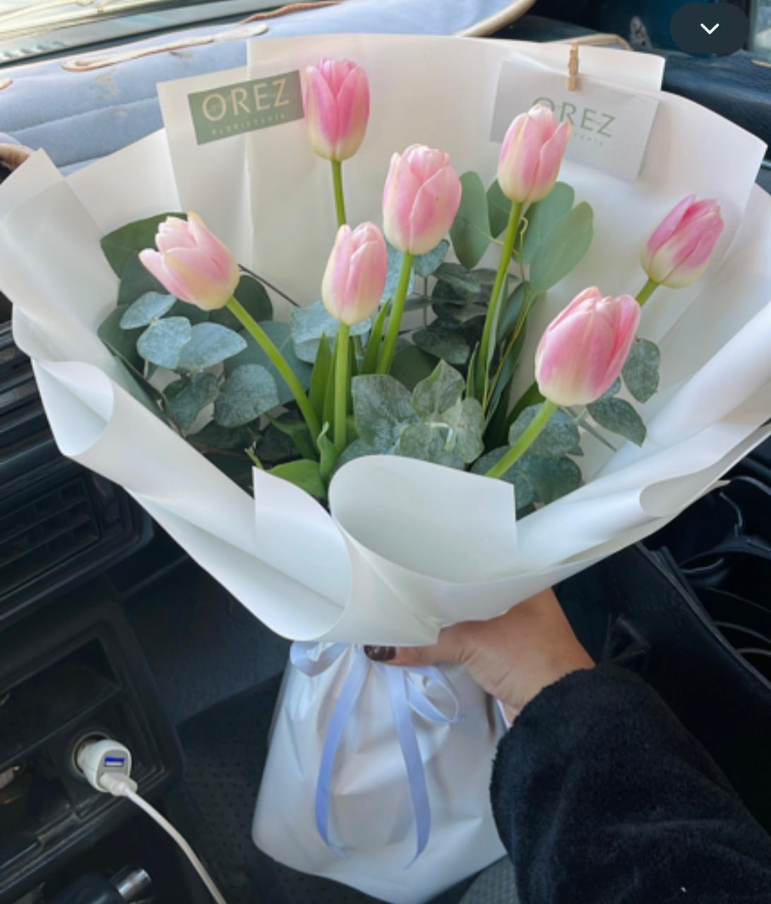 7 Tulipanes con Follaje